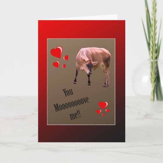 Kuh Valentine Greeting Feiertagskarte (Vorderseite)