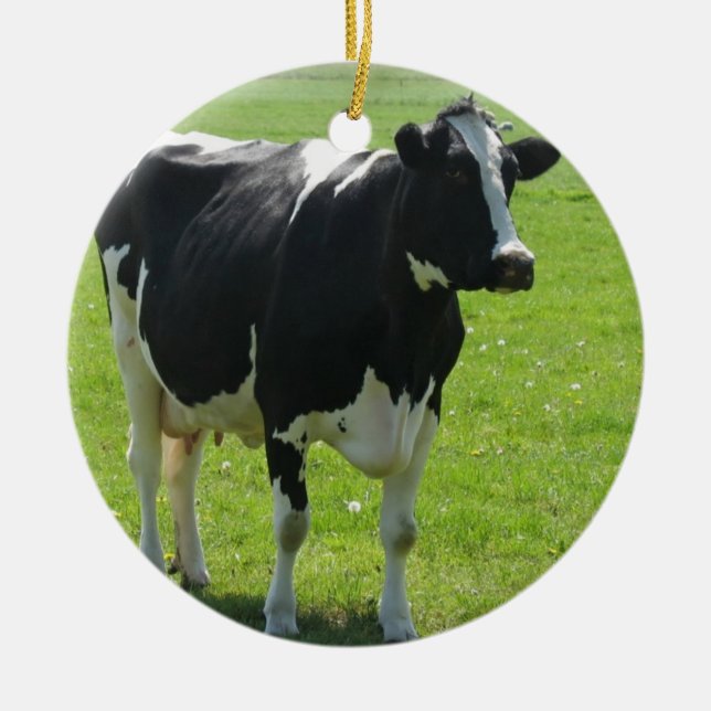 Kuh-Vieh-Verzierung Keramik Ornament (Vorne)