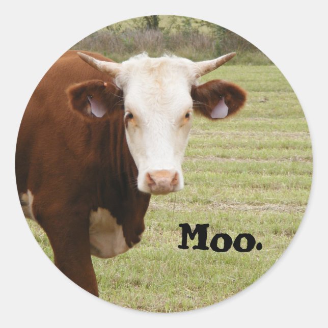Kuhaufkleber: "Moo." Runder Aufkleber (Vorderseite)