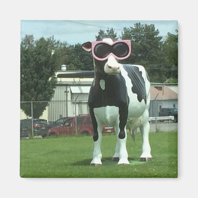 Kühe 1 magnet (Vorne)