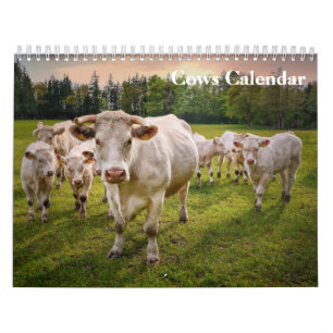 Kühe 2027 Kalender