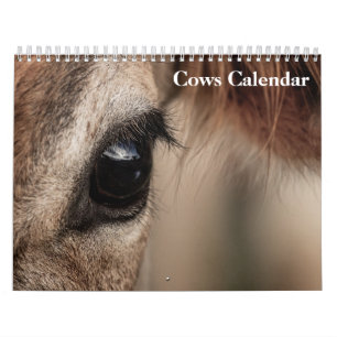 Kühe 2027 Kalender