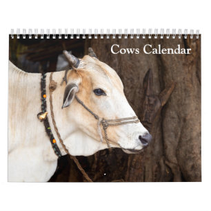 Kühe 2027 Kalender