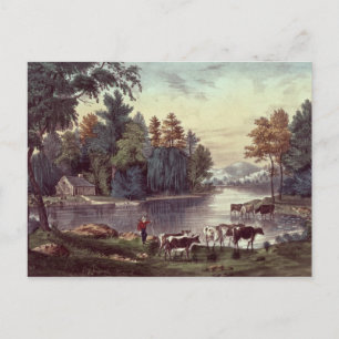 Kühe am Ufer eines Sees Postkarte