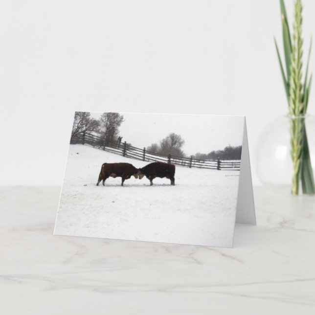 Kühe Dankeskarte (Vorderseite)