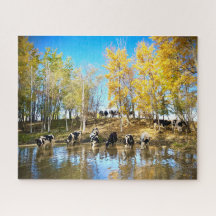 Kühe im Herbst im Teich