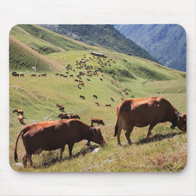 Kühe im Tarentaise-Tal - Rasse Mousepad (Vorne)