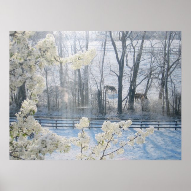 Kühe im Winter Poster (Vorne)