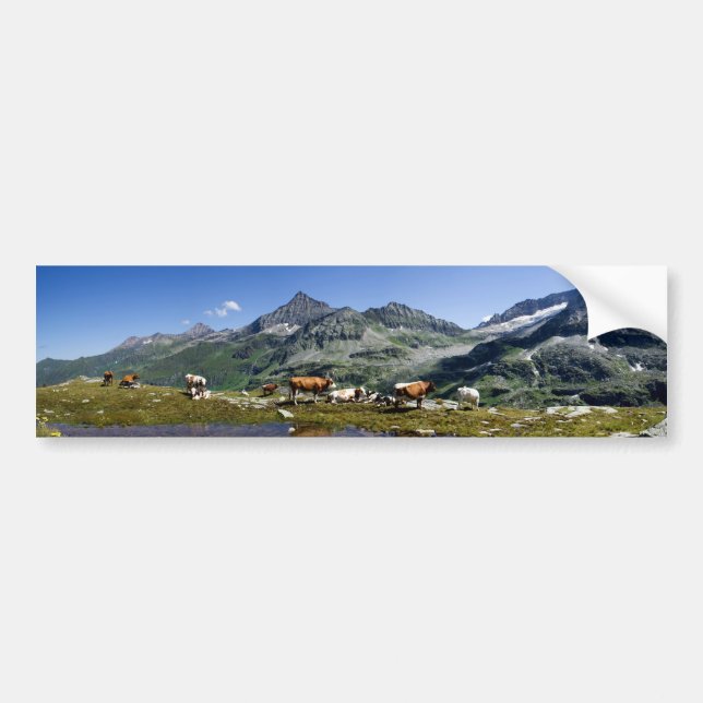 Kühe in den Bergen Autoaufkleber (Vorne)
