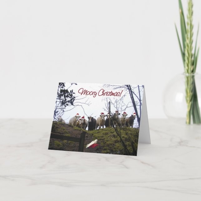 Kühe in der einladung (Vorderseite)