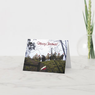 Kühe in der einladung