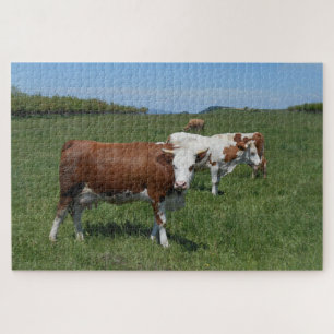 Kühe in der Weide Puzzle