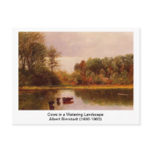 Kühe in einer wasserreichen Landschaft von Albert