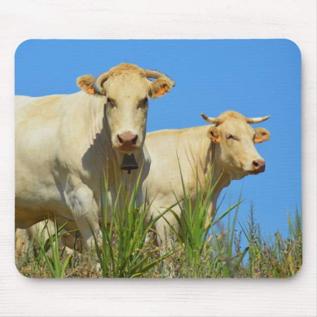 Kühe in Frankreich Mousepad (Vorne)