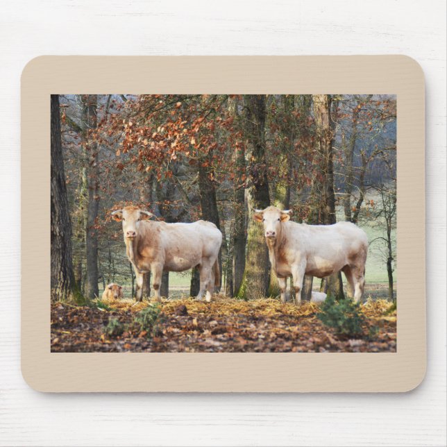 Kühe in Wald, Frankreich Mousepad (Vorne)