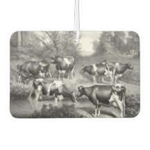 Kühe in Weidegraukunst