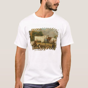 Kühe mit einem Hirt T-Shirt