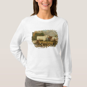 Kühe mit einem Hirt T-Shirt