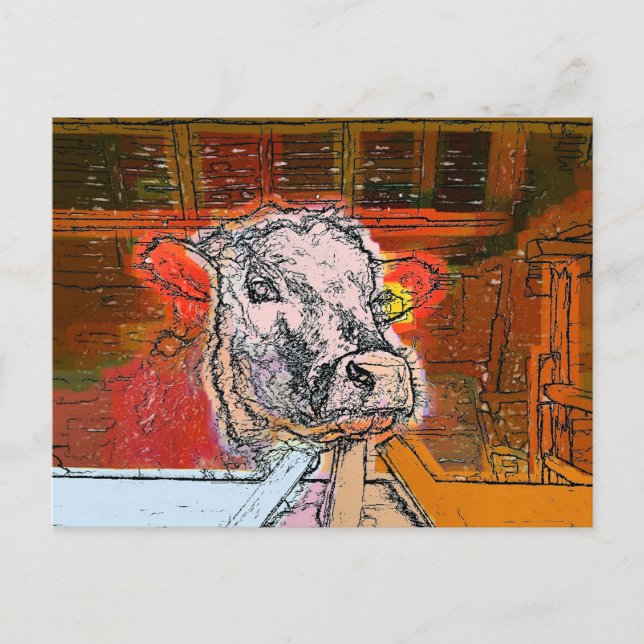 KUHE POSTKARTE (Vorderseite)