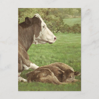 Kühe und Kälber im Feld Postkarte