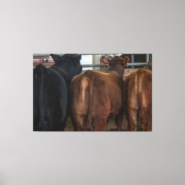 Kühe von hinten leinwanddruck (Vorderseite)