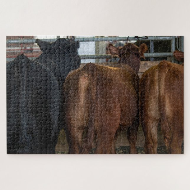 Kühe von hinten puzzle (Horizontal)