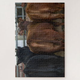 Kühe von hinten puzzle