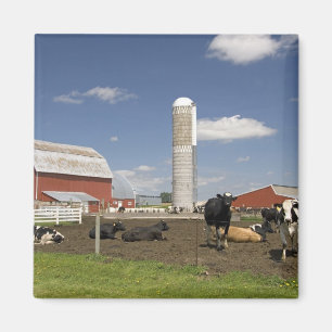 Kühe vor einer roten Scheune und einem Silo auf Magnet