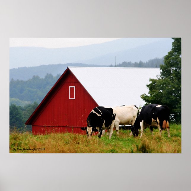 Kuhfarm Landschaftsdruck Poster (Vorne)