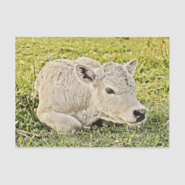 Kuhfarm Rustikale Landentfernung Seidenpapier (Vorderseite)