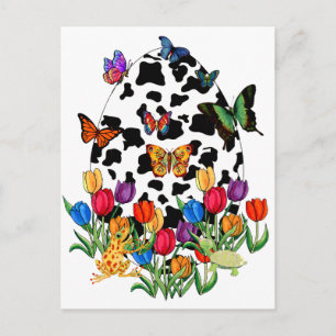 Kuhhauteier Feiertagspostkarte