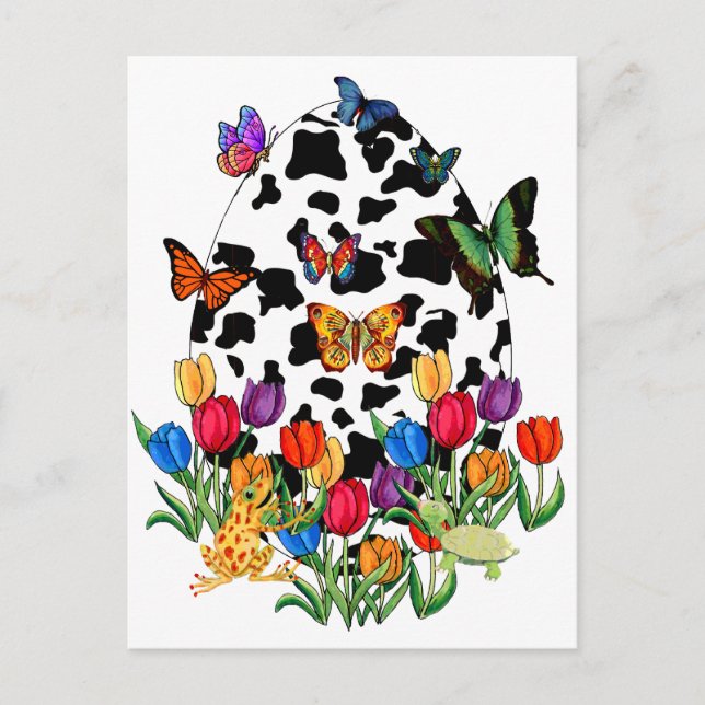 Kuhhauteier Feiertagspostkarte (Vorderseite)