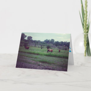 "Kuhherde" Grußkarte zur Genesung Karte