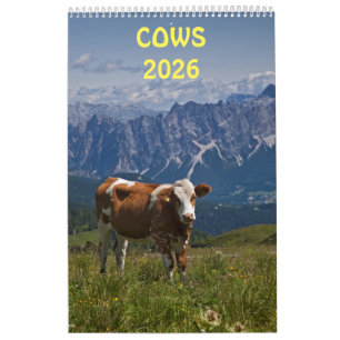 Kuhkalender 2025 kalender