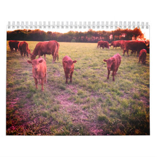 Kuhkalender Kalender