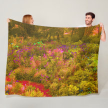 Kühle goldene panoramische Gartenblumen Aussicht