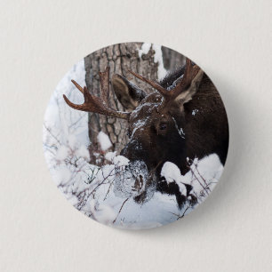 Kühler Elch Button
