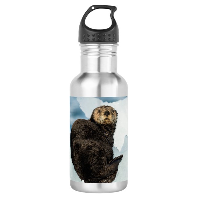 Kühler Seeotter Edelstahlflasche (Vorderseite)