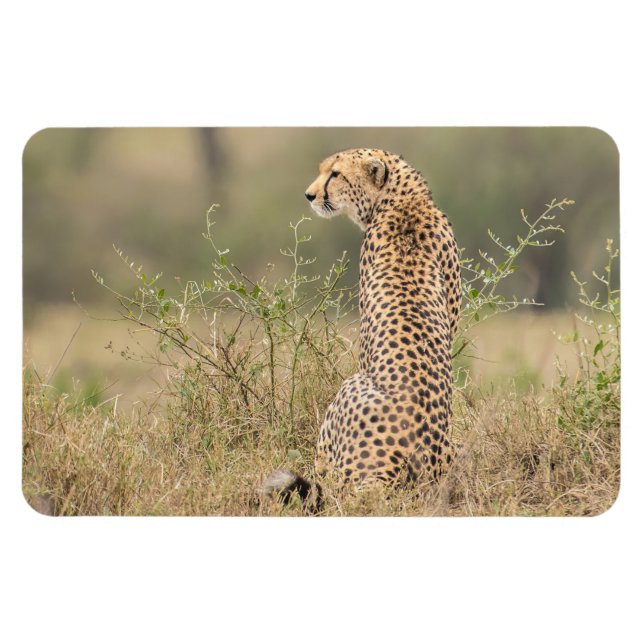 Kühlschrank-Bildvorlage 4 x 6 Magnet (Horizontal)