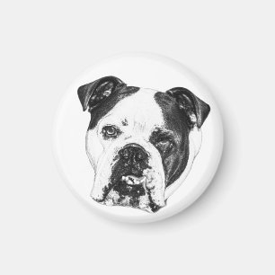 Kühlschrank List Bulldog Magnet