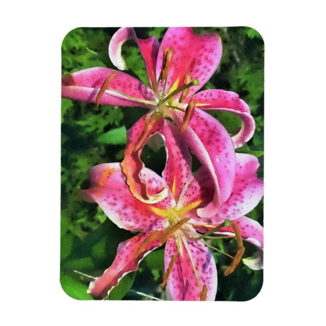 Kühlschrank Magnet Pink Lilies (Vertikal)