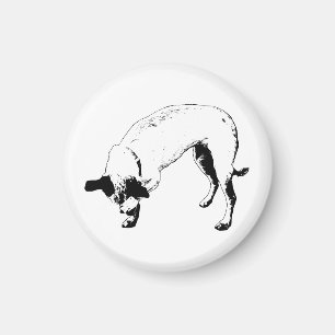 Kühlschrank scheuer Terrier Magnet