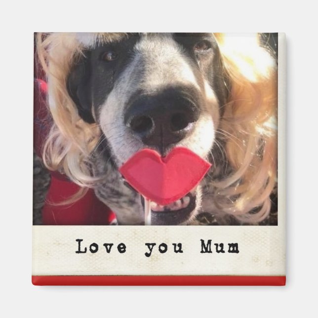 Kühlschrankmagnet Magnet (Vorne)