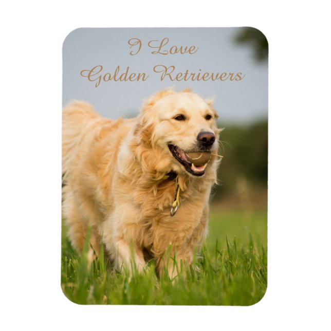 Kühlschrankmagnet mit Golden Retriever und Slogan Magnet (Vertikal)