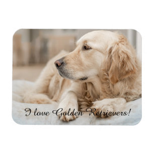 Kühlschrankmagnet mit Golden Retriever und Slogan Magnet
