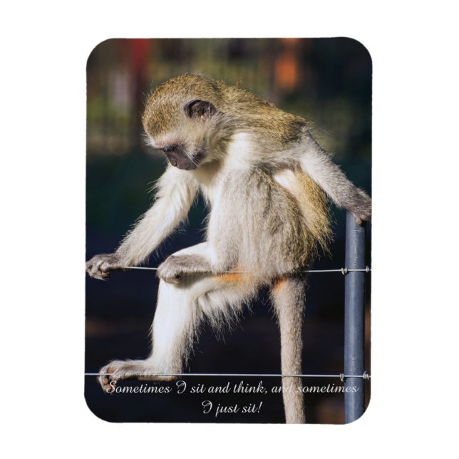 Kühlschrankmagnet mit Monkey und Slogan Magnet (Vertikal)