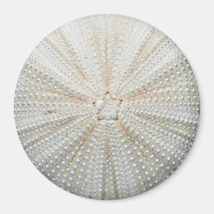 Kühlschrankmagnet Sea Urchin - Rund Magnet