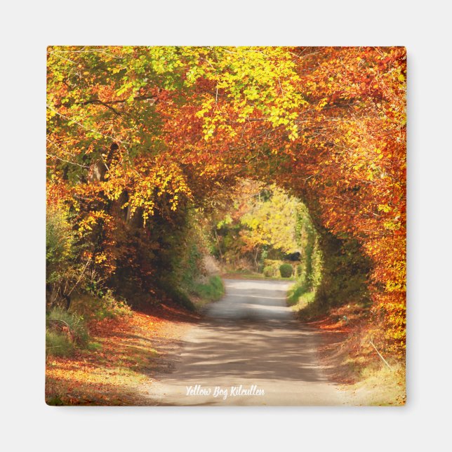 Kühlschrankmagnet Yellow Bog Kilcullen Magnet (Vorne)