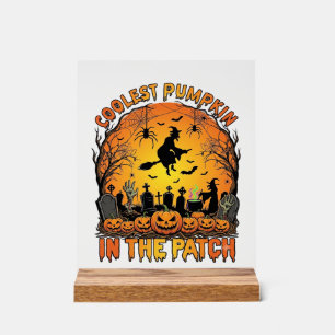 Kühlster Kürbisfeld Halloween Hexe Spinnen Friedho Acrylschild