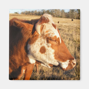 Kuhmagnet: Extravagant Magnet